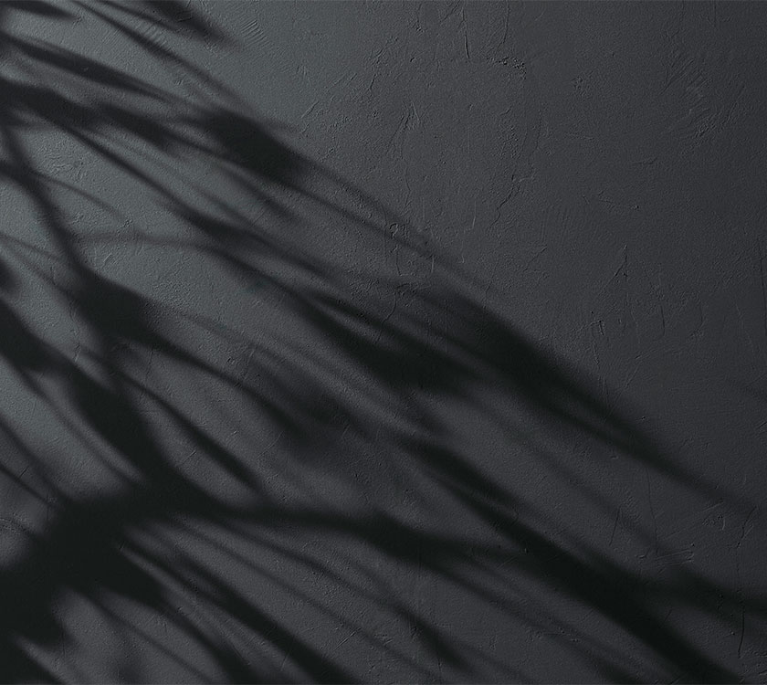 Ombra delle foglie di una pianta proiettata su un muro.