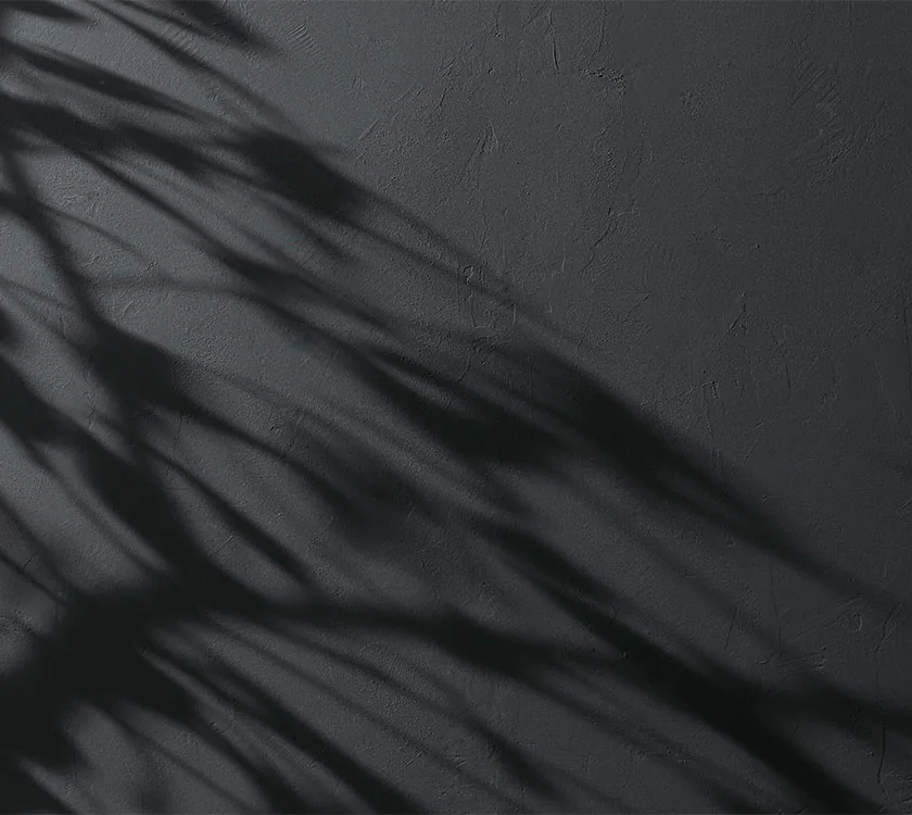 Ombra delle foglie di una pianta proiettata su un muro.